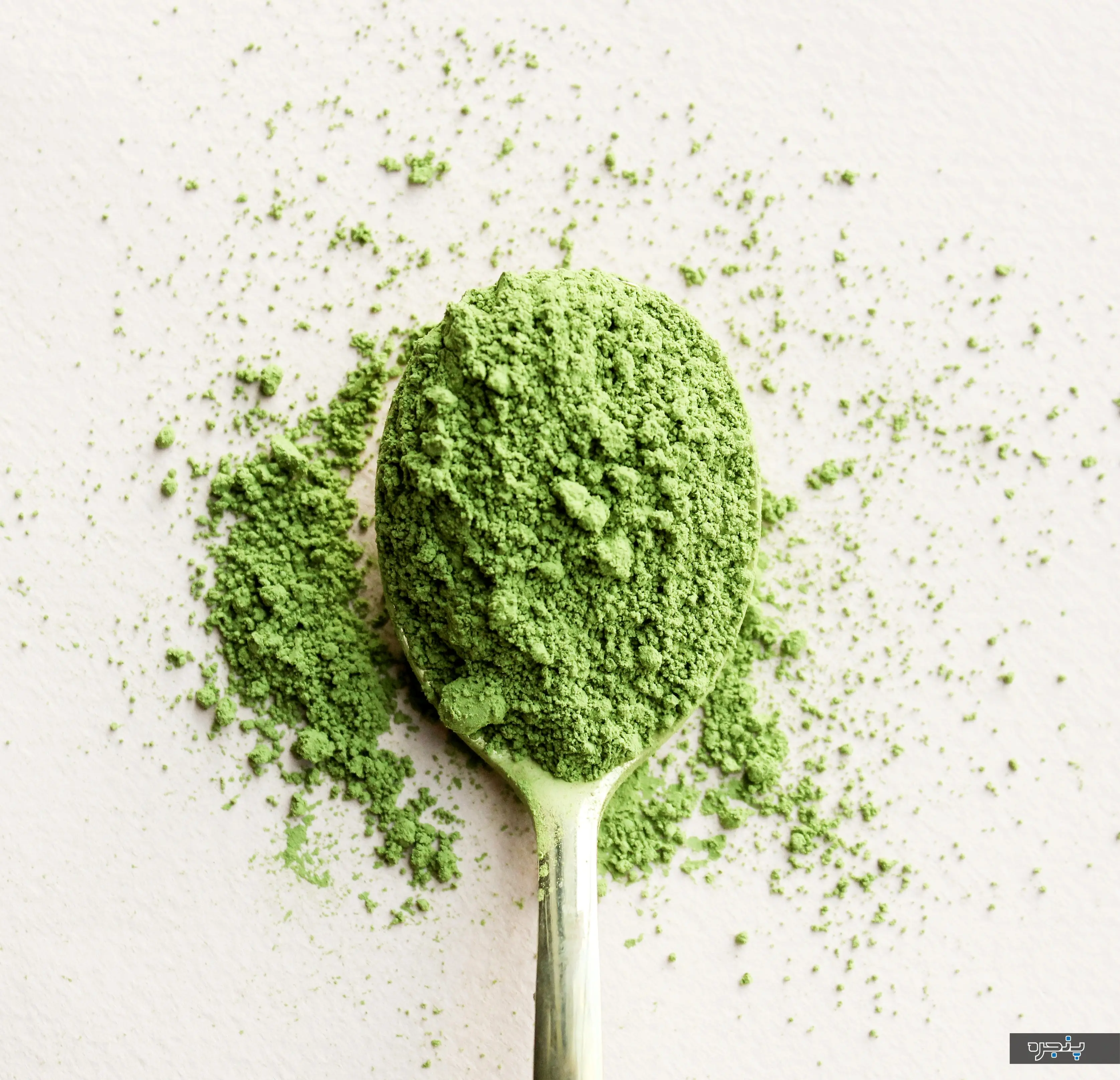 Matcha_Scoop