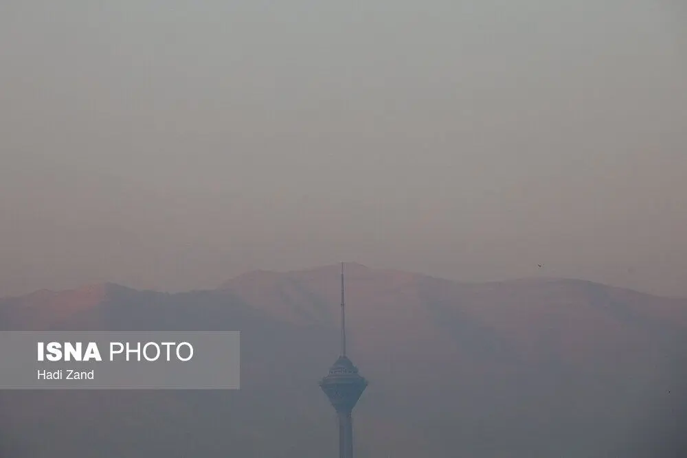 photo_2025-11-22_19-54-11