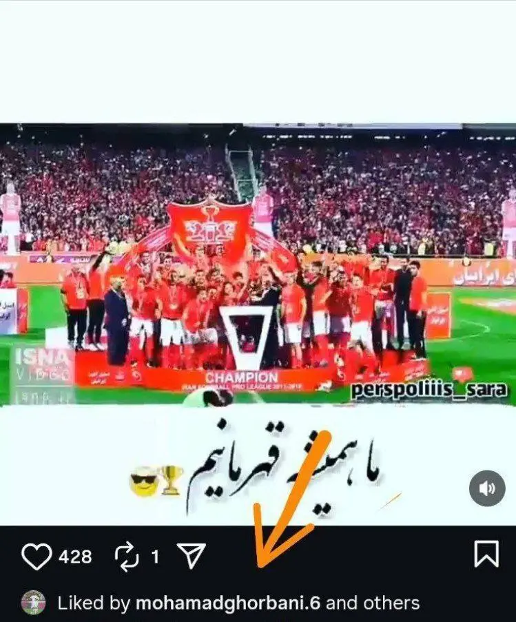 photo_2025-11-13_00-51-56+(2)