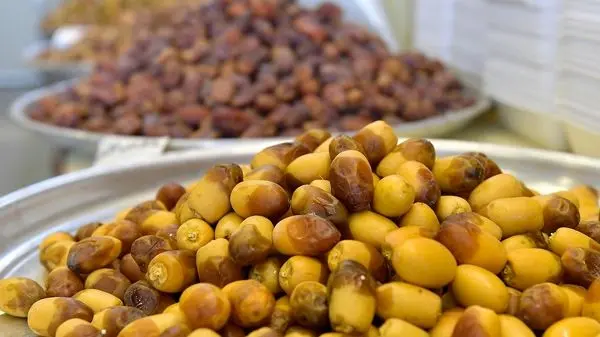 قیمت تازه خرما مخصوص ماه رمضان اعلام شد