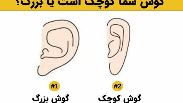 تست شخصیت شناسی | یک  موز انتخاب کن تا بگم در آینده چه اتفاقی برات میوفته!