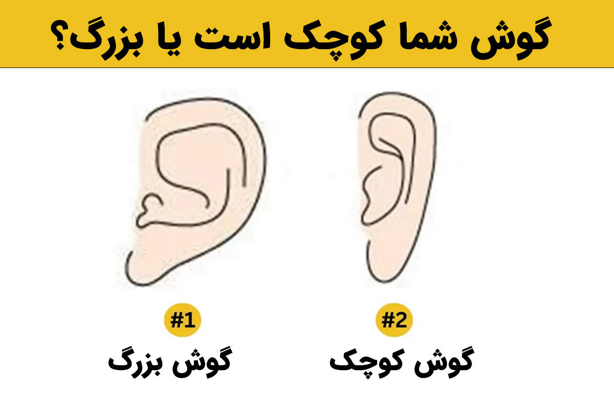 تست شخصیت شناسی | میخوای آدمای دورت رو بشناسی؟ فقط کافیه به فرم گوششون دقت کنی