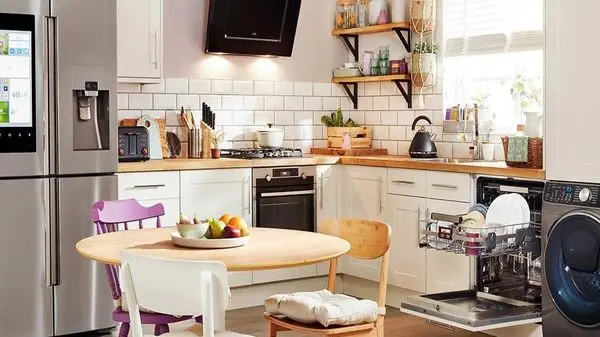 راز سلامت گیاهان آپارتمانی با یک ابزار ساده آشپزخانه