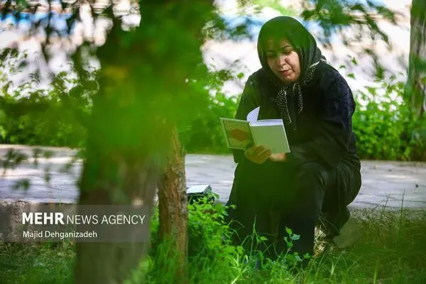 کنکور سراسری