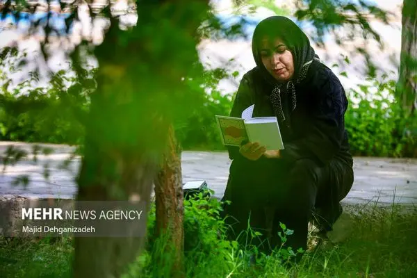 کنکور سراسری