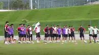 این بازیکن را تا فردا پرسپولیسی می‌کنم!