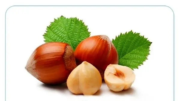 آیا مصرف هرروز تخم‌مرغ مضر است؟