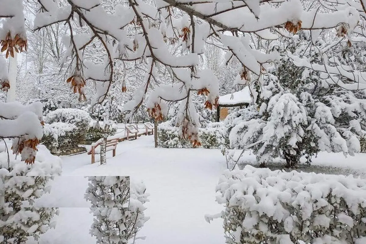 بارش برف و سرما از جمعه آغاز می‌شود؛ اصفهان شنبه اولین برف پاییزی را تجربه می‌کند