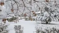 هشدار سرما و برف و بوران فردا ۸ بهمن در تهران+ پیش‌بینی هوا