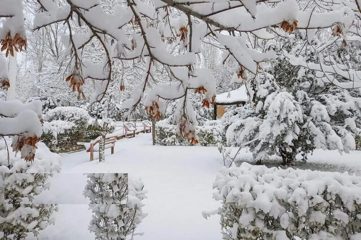هشدار سرما و برف و بوران فردا ۸ بهمن در تهران+ پیش‌بینی هوا