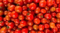 قیمت گوجه فرنگی به ۶۵ هزار تومان رسید!