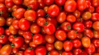قیمت گوجه فرنگی به ۶۵ هزار تومان رسید!