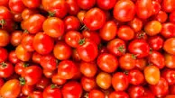 قیمت گوجه فرنگی به ۶۵ هزار تومان رسید!