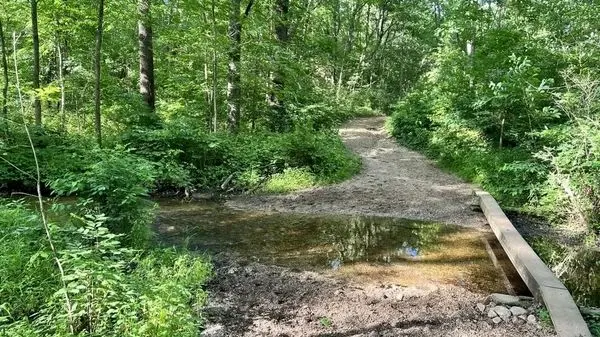 مرموزترین پرونده مفقودی در شیراز؛ سه سال بی‌خبری از دختر جوان
