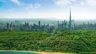 دبی سبزتر از همیشه؛ کاشت روزانه ۶۰۰ درخت در مسیر توسعه پایدار