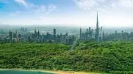 دبی سبزتر از همیشه؛ کاشت روزانه ۶۰۰ درخت در مسیر توسعه پایدار