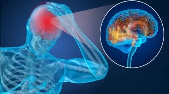 افشاگری علمی: راز «بازیابی توان مغزی» در میانه‌ی روز چیست؟ 