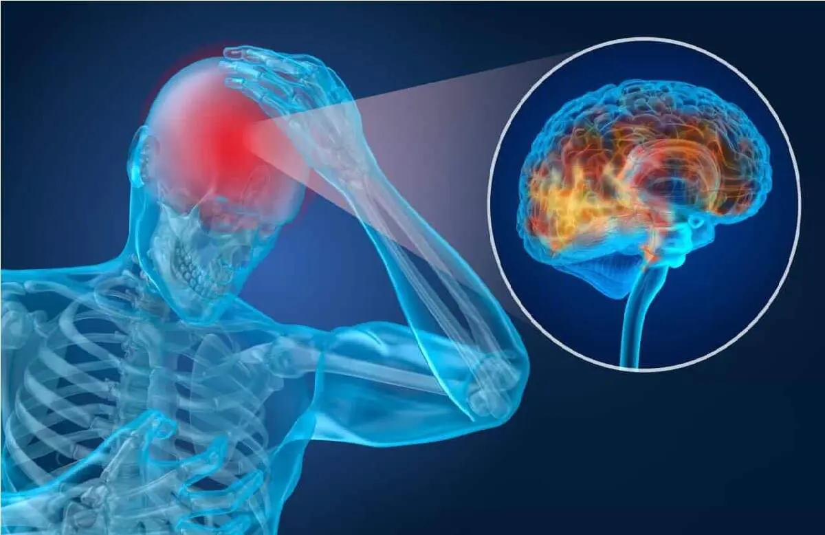 افشاگری علمی: راز «بازیابی توان مغزی» در میانه‌ی روز چیست؟ 