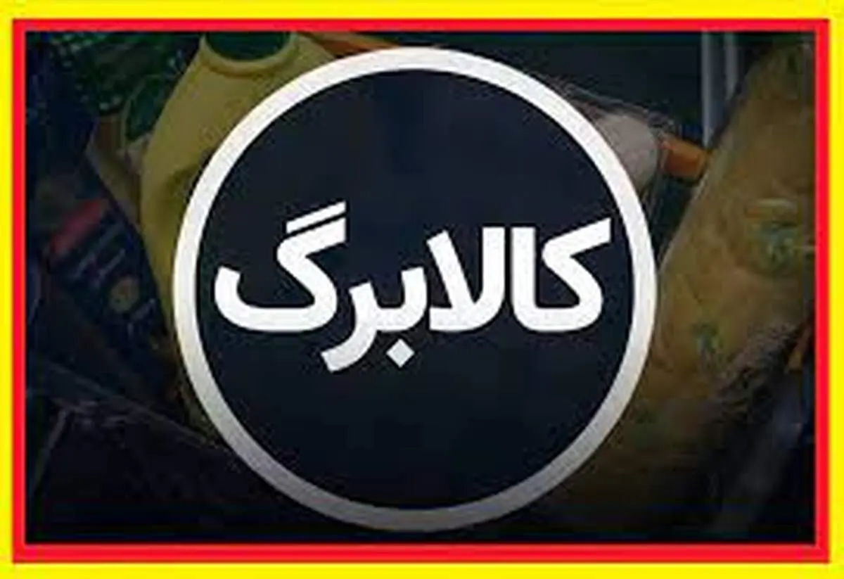بررسی کالابرگ الکترونیک و مسائل بازنشستگان در مجلس