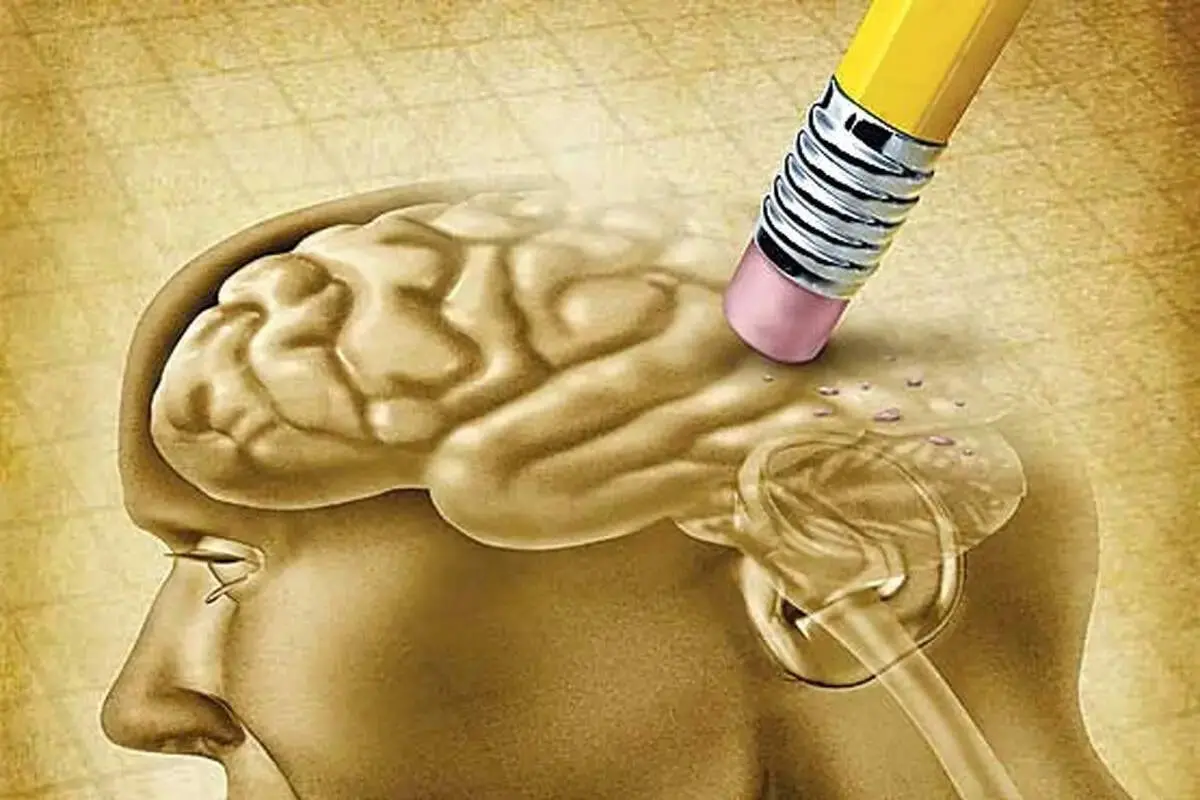 ۵ راهکار ساده برای داشتن مغز سالم و حافظه‌ای قوی؛ چگونه از زوال عقل جلوگیری کنیم؟
