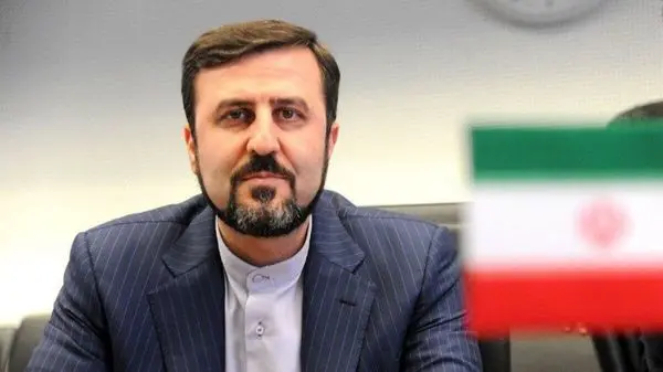 رئیس سازمان انرژی اتمی: با اجازه شورای عالی امنیت ملی دو بازرس آژانس آمدند و رفتند