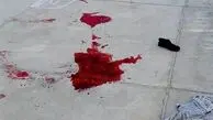 ترور یک دانشمند هسته‌ای شریف و همسرش