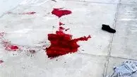 ترور یک دانشمند هسته‌ای شریف و همسرش