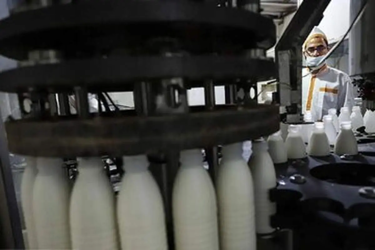 شیر جو دوسر، شیر نیست!/ ماجرا چیست؟