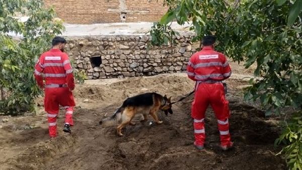 ۶ روز بی‌خبری از پسر ۱۲ ساله؛ جست‌وجو در جنگل‌های بایجان ادامه دارد