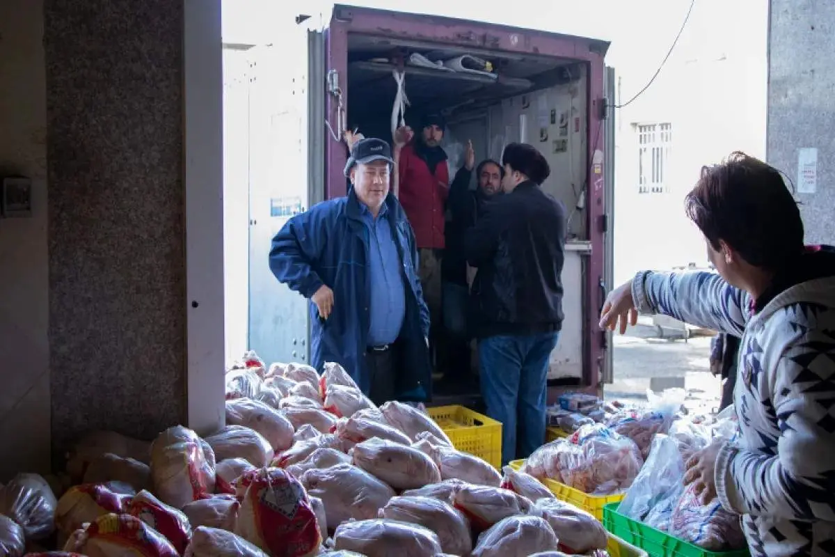 خبر خوش برای مصرف‌کنندگان: برنج و مرغ ارزان به بازار رسید!