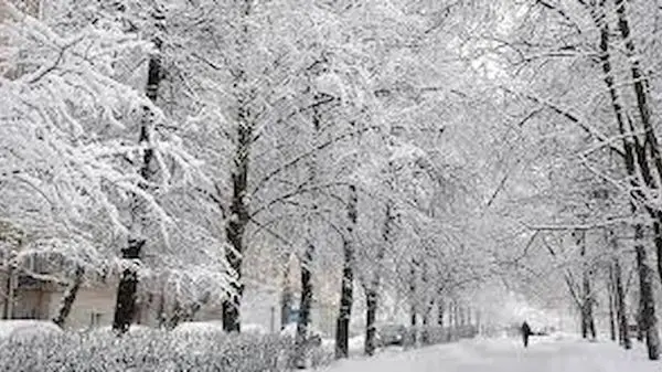  این پاساژهای پایتخت هنوز ناایمن هستند!