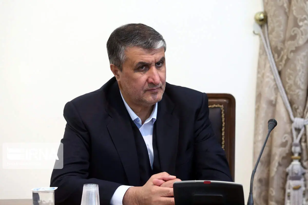 رئیس سازمان انرژی اتمی: با اجازه شورای عالی امنیت ملی دو بازرس آژانس آمدند و رفتند