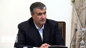 رئیس سازمان انرژی اتمی: با اجازه شورای عالی امنیت ملی دو بازرس آژانس آمدند و رفتند