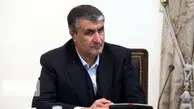 رئیس سازمان انرژی اتمی: با اجازه شورای عالی امنیت ملی دو بازرس آژانس آمدند و رفتند