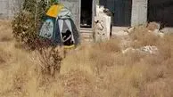 
بازیگر و کارگردان معروف  دهه ۶۰ سینما مجبور به چادرنشینی شد
