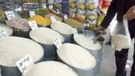  آغاز عرضه گسترده برنج ایرانی؛ تولید یک میلیون تن برنج سفید در راه است!