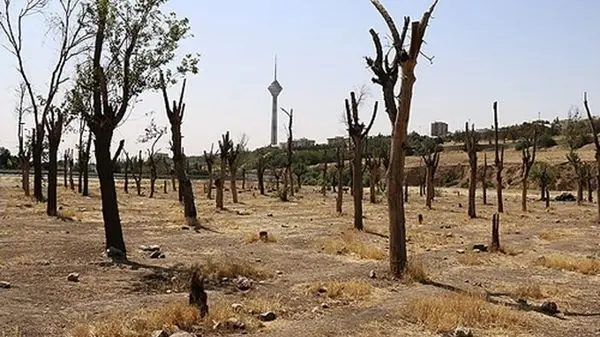 با این ترفند ساده و بی‌هزینه، خودرویتان را بدون کولر در گرمای تابستان خنک کنید!