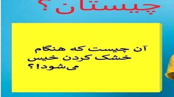  آن چیست که پر دارد و پرواز نمی کند؟ | چیستان