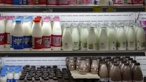  لبنیات از سفره ایرانی‌ها حذف می‌شود؟قیمت جدید اعلام شد