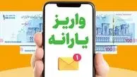 سورپرایز دولتی برای خانواده‌های چندقلو: واریز ماهیانه ۴ میلیون تومان در راه است!