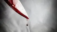 قتل هولناک مدیرعامل شرکت شیمیایی در نیمه‌شب؛ راز جنایت در دوربین‌ها فاش شد