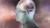 افشای اسرار مغز: چرا حافظه زیر فشار کار و زندگی روزمره به زانو در می‌آید؟