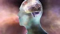 مغز چگونه مسیرهای خیالی را درک می‌کند؟ /  تاثیری شگرف بر درمان آلزایمر