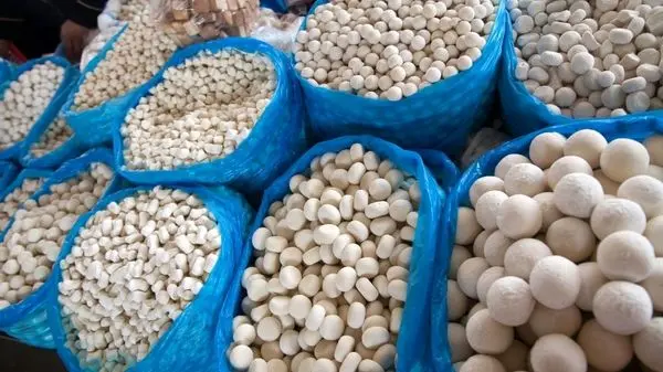 کشک خشک، نعمت پنهان یا تهدید خاموش برای بدن؟