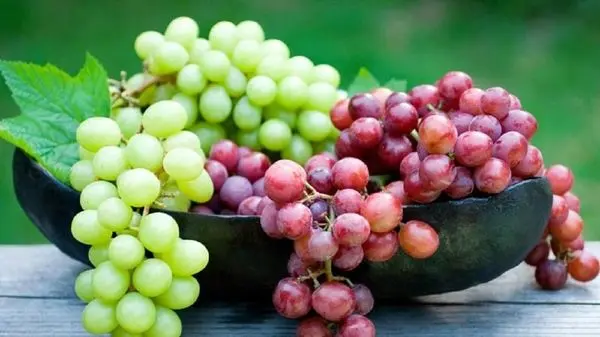 ۵ میوه شگفت‌انگیز که دستگاه گوارش شما را مثل ساعت تنظیم می‌کنند!