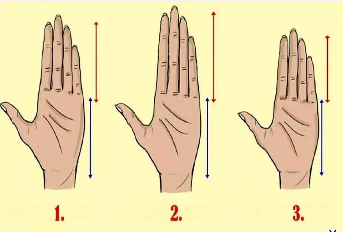 تست شخصیت شناسی جالب | طول انگشتان شما نسبت به کف دست شخصیت واقعی شما را آشکار می کند