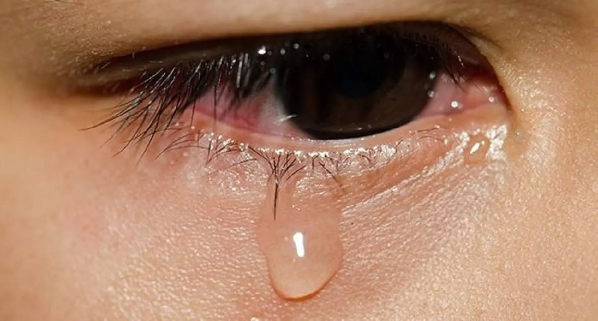 اشتباه بزرگ؛ فرار از خانه پس از ۴ ماه نامزدی به خاطر عشق خیابانی