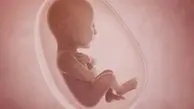 شوک عجیب در بیمارستان آبان: جنین‌های ناپدید شده و دردسرهای بی‌پایان خانواده‌ها