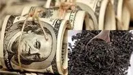 فساد بی‌سابقه در دولت‌های احمدی‌نژاد و رئیسی؛ رکوردهایی که شکسته شد!