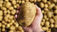 زنگ خطر برای دوستداران سیب‌زمینی سرخ‌کرده